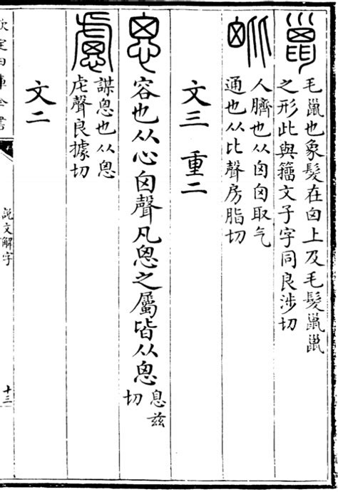 亥意思|亥:漢字源流,詳細釋義,古籍解釋,說文解字,說文解字注,。